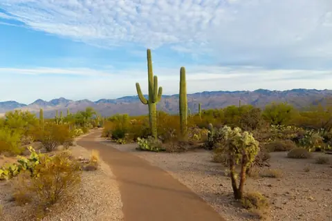 All the Reasons Why Arizona is the Ideal Retirement Destination in 2026