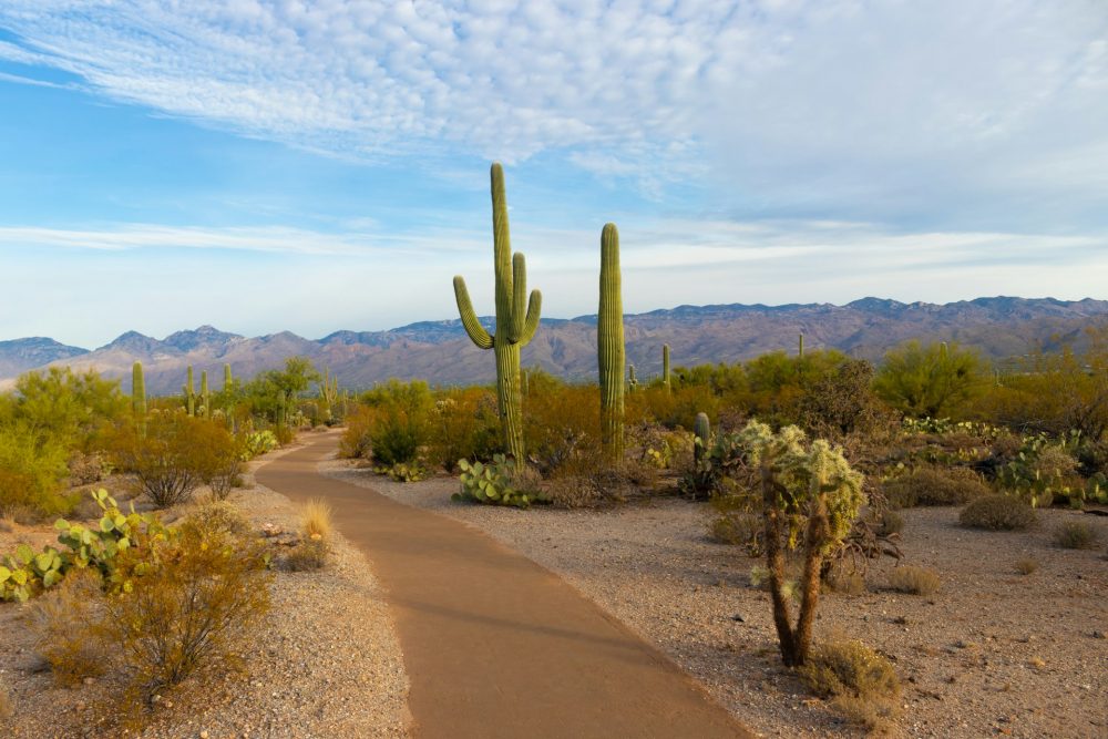All the Reasons Why Arizona is the Ideal Retirement Destination in 2026