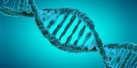 How Epigenetics Shapes Human Life From Birth to Menopause