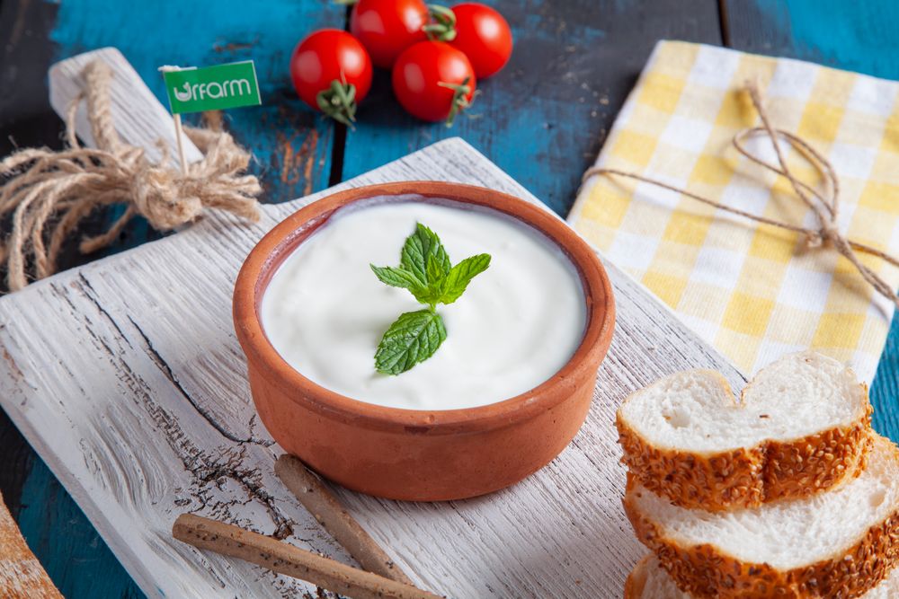 Why Full-Fat Dairy Does Not Raise Cholesterol or Weight